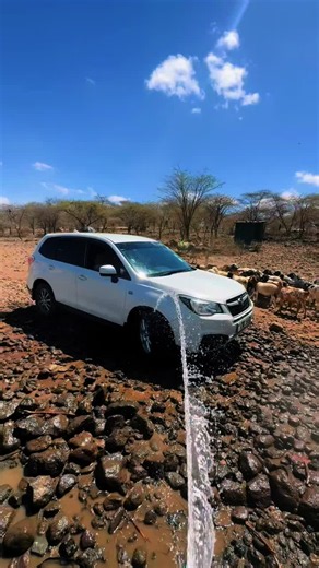 Took her out for a bath after all the ups and down🥰 also we are greatful for water🫶🏽 @Spring of the ASAL’s #monaswave #CommunityStories