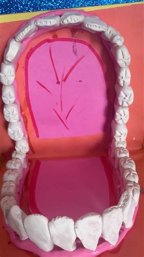 Teeth model with clay.. types of teeth model🙏🏻🙏🏻