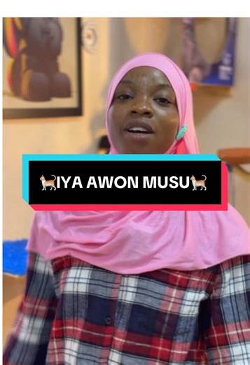 What to Feed Your Cat: Strictly Dry Food Choices