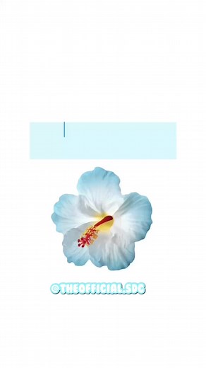 Decals para Competencias de ALDC en Roblox