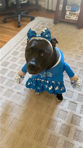 Piper LOVES the ‪@detroitlionsnfl‬ !! 🦁💋🏈 #shorts ‪@NFL‬