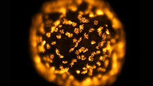 57K views · 149 reactions | In 2020, the world saw its first glimpse of a living robot that could move, self-heal, and work with other bots to meet a common goal. Now, all these features have gotten a massive upgrade, including memory. Meet Xenobot 2.0. | Seeker by The Verge | Facebook