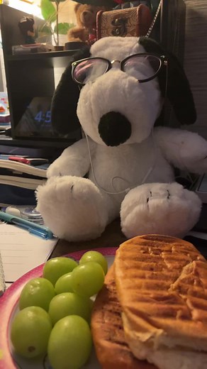 Snoopy Studying for Exams After Cooking - School Peanuts Adventure