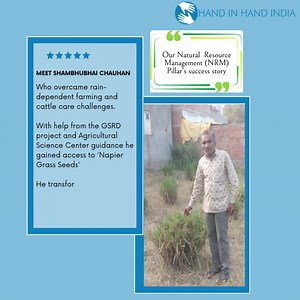 Meet Mr. Shambhubhai Chauhan, a resilient marginal farmer from Ahmedabad. For years, he relied on rain-fed crops, facing uncertainty and hardship during dry spells. His cattle suffered, and finding green grass for their fodder was a constant challenge. Then came the GSRD project, offering a ray of hope. Shambhubhai received "Napier Grass Seeds"; and diligently followed the guidance of agricultural experts from the Agricultural Science Center. Today, he's transformed his farming practices, ensuri