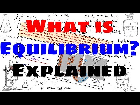 What is Equilibrium? - Explained