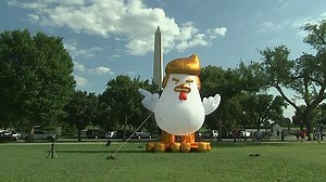 Giant inflatable Trump chicken poses outside the White House