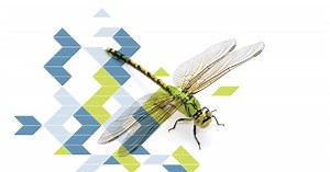 18 reactions · 11 shares | Break free of material constraints and let...