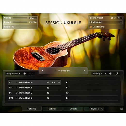 Native Instruments Session Ukulele Virtual Instrument Plug-in