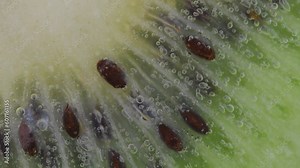 Sparkling water with kiwi slice. Macro shot of a kiwi slice in sparkling water. Close-up of a kiwi slice in carbonated water.