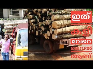 Timber Loading And Unloading
