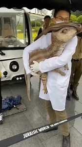 Hadrosaurus was a large, herbivorous dinosaur that lived approximately 80 to 75 million years ago during the Late Cretaceous period. It measured about 30 feet (9 meters) in length and weighed around 3 tons. Hadrosaurus roamed what is now North America, particularly in areas that are modern-day New Jersey and nearby states. It was a duck-billed dinosaur, known for its flat, broad snout and rows of grinding teeth, ideal for chewing tough plant material. The discovery of Hadrosaurus was significant