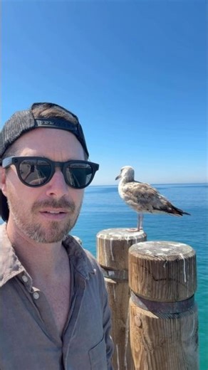 This tone is carefully created with the golden harmonic pure frequency 432 Hz. Calm your mind fast.