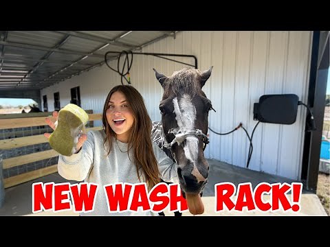 DIY Horse Wash Rack! | Building My NEW DREAM HORSE BARN PART 7!