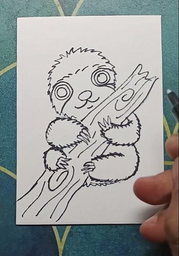 Sloth drawing, baby sloth drawing how to draw a sloth