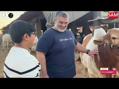 Client Review ❤️😇|| Branch 02 Ke Bachry || Available For Qurbani 2026 || Part 02