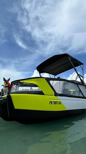 50K views · 10K reactions | 冀酪SEA-DOO SWITCH = DÍA FAMILIAR | Omar Ortiz | Facebook