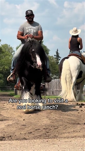 Come visit a real working horse ranch with some of the most beautiful horses in the world! All the details on our website 🎉👏#riverlaneranch #ranchlife #familyranch #vacation #ranchvacation #horsesoftiktok #horsevacation #horseholiday #ranchers #canada #alberta