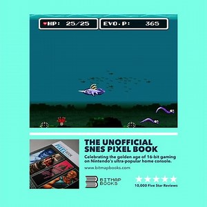E.V.O.: Search for Eden - Featured in our book - The Unofficial SNES Pixel Book