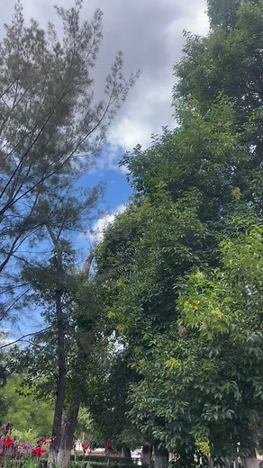 Jose Moran Alonso on Reels