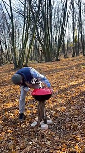 1.4M views · 1.2K reactions | How to Remove a Tree Stump Efficiently | Crafty Panda | Facebook