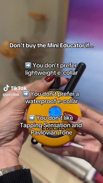 Mini Educator ET-300: Best E-Collar for Dog Training