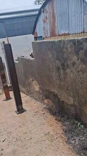 17K views · 132 reactions | Anyone a good recipe for Swan 廉 路‍♂️路‍♂️ #farming #electric #sheep | Jack The Farmer | Facebook