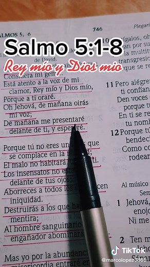 Highlighted Bible Verses in Spanish with a Pen