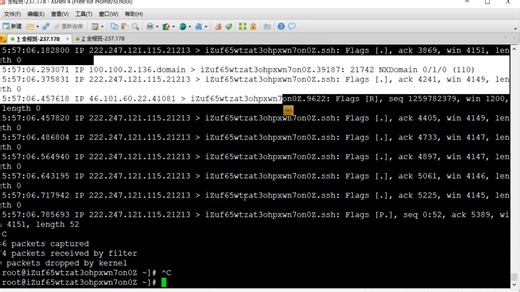 12-tcpdump常用参数的使用-Q-q
