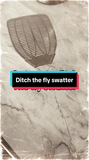 The katchy insect trap uses UV light and sticky traps to catch insects in your home 24/7. #katchy #bugs #flytrap #mosquitos #ttshop