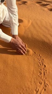 Catch and release, they play in the desert to catch skinks | Shadrack Agyekum