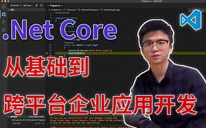 【码农亦正】.Net Core从基础到跨平台企业开发【第一节】