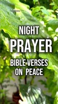 Bible verse read scriptures on peace #prayer #bible verse #christianprayer #godspeace #faithingod