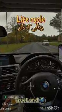 what is the life cycle of human