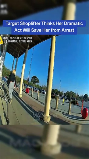 Shoplifting Drama at Target: A Cop's Perspective