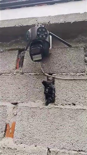 this PTZ icsee connect with Wi-Fi and has SD card and Human Detection and has Alarm bell fromSofia🇧🇬