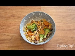 Homemade Dog Food for Small Dogs Recipe (New)