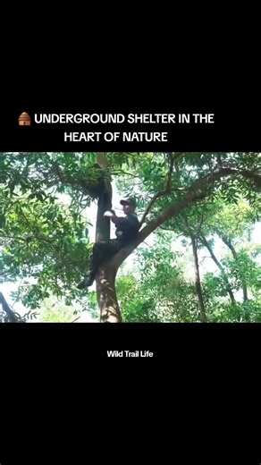 Digging deep into the earth, using tree roots as natural support, he slowly builds a safe underground shelter. No machines, no concrete… Just effort, patience, and harmony with nature. 🌿⛏️ This is what real survival spirit looks like. 👉 Follow for more #survival #shelter #bushcraft #doğadahayat #undergroundshelter