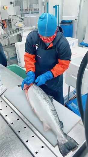 Skill Membelah Ikan Salmon Agar Tidak Gagal! Teknik Mudah dan Rapi