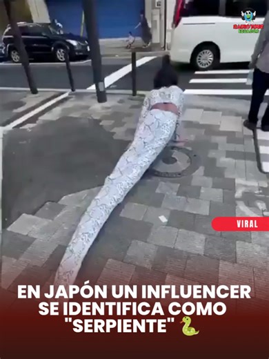 🐍 En redes se volvió viral un video donde el influencer Junior Caldeira aparece disfrazado de serpiente… ¡y hasta espera el semáforo para cruzar la calle! 😮 El clip fue grabado en Japón y ha sorprendido a miles de usuarios por lo real que parece. Aunque muchos dicen que “se identifica como serpiente”, en realidad se trata de contenido creativo y de entretenimiento. ¿Tú qué opinas… arte o simplemente un video muy random? 👀🐍