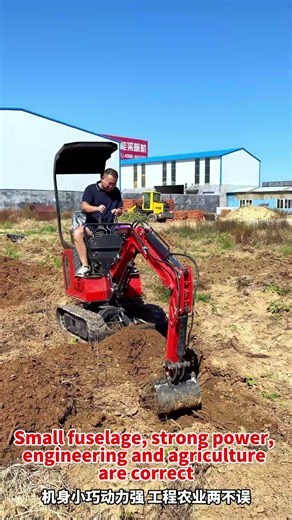 Mini Excavator for Orchard, Flexible for Digging & Breaking#MiniExcavator #SmallExcavator