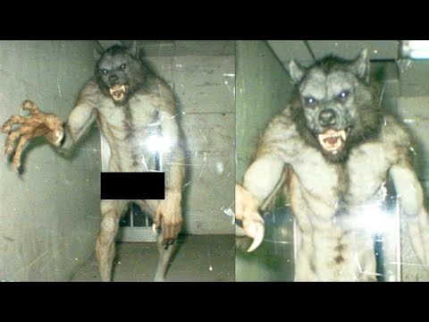 THIS Footage Proves the TRUE Origin of DOGMAN, And It's Terrifying! - Dogman Stories