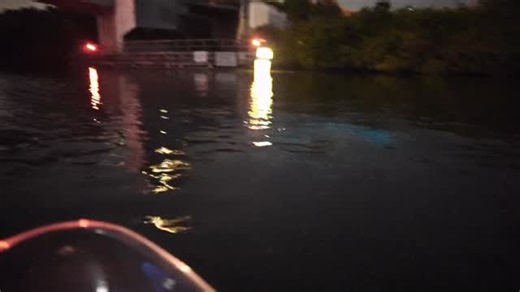 This was a once-in-a-lifetime moment. Could this be visual proof that dolphins have learned how to hunt by using the glow of bioluminescence in tandem with echolocation? Let’s go a little deeper: The bioluminescence is light emitted by dinoflagellates (a plankton not visible to the naked eye). These little guys give off light whenever they are disturbed. It’s often thought by scientists that they give off light as a defense mechanism to attract larger predators to go after the thing bothering th