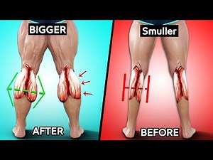 8 Best Exercise Calves Workout & Calf Raise