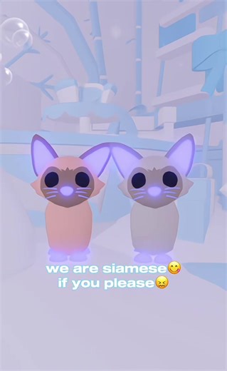 Why Siamese Cats Make Amazing Pets