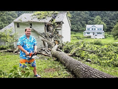 Insane Chainsaws & Monster Bulldozers | Fast Tree & Stump Removal