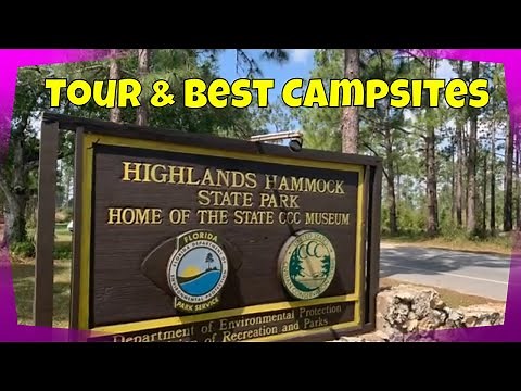 Highlands Hammock State Park - Tour and Best Campsites