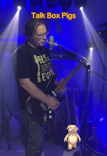 Pigs Talk Box Pink Floyd #pinkfloyd #talkbox #animals #guitar #fyp | Talk Box