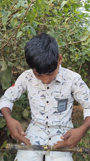 Ganne ka baat kar raha hu 🤣 #buddycomedy #comedy #desicomedy #shahban | Buddycomedy07