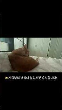 [홍보영상 공모전 동상] 📣 아아-! 지금부터 백석대학교 🌿 힐링스팟 🌿 홍보합니다!