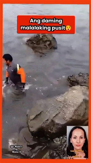 Ang swerte ng mga mangingisda may dumating na mga malalaking pusit👍 #squid #pusit #catching #Amazing | Life Matters by Mama B
